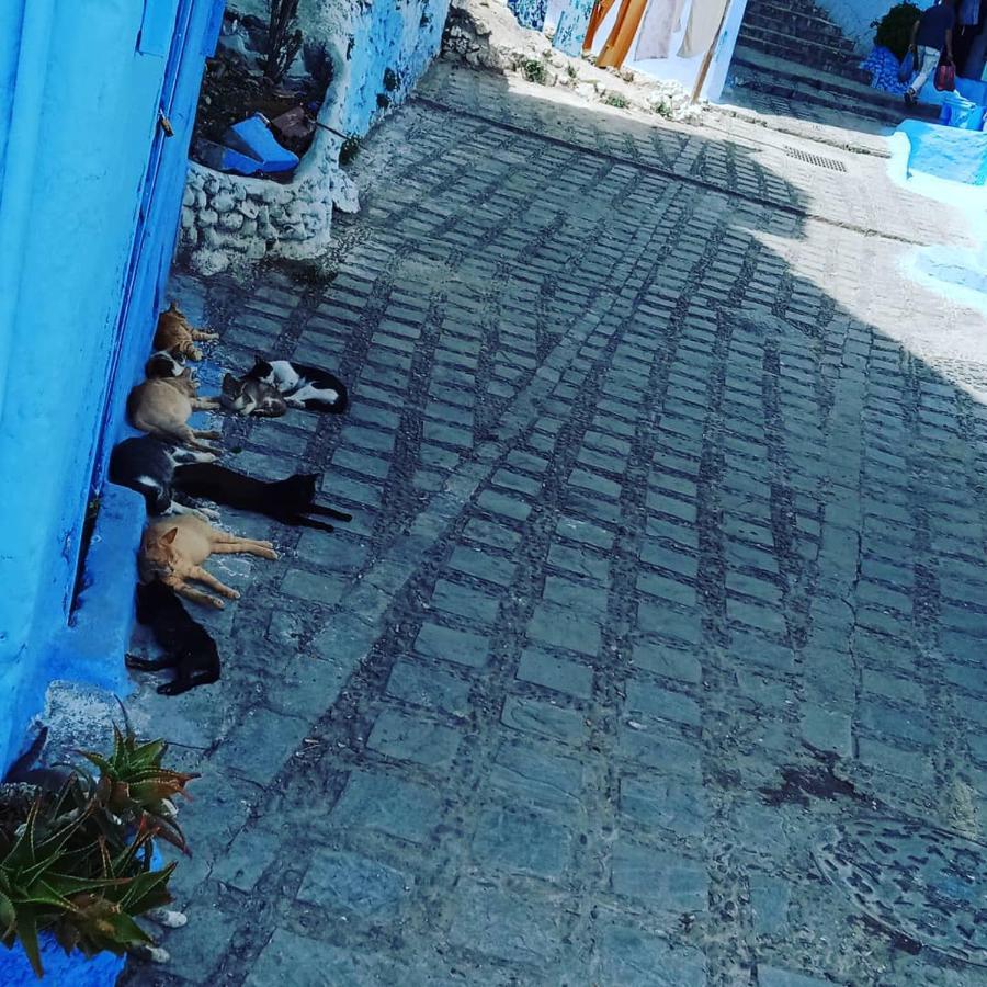 Casa Mablu Apartamento Xexuão Exterior foto